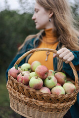 girl holds  basket  with juicy apples in the garden