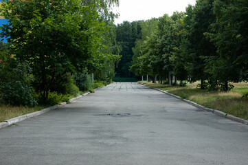 The old asphalt road goes to a dead end, green trees all around