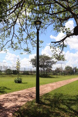 Lamppost in the park