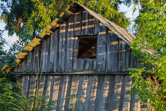 Old dilapidated barn in the forest
