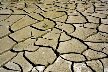 Dry and cracked ground texture as a background