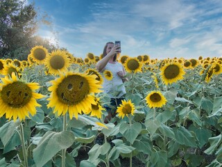 Woman Standing in Large Sunflower Field in Kansas
