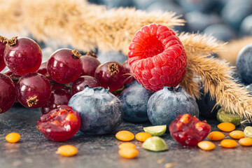 Natural background with different wild berries, macro shot.
