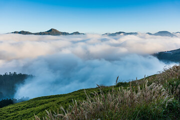 View of cloud sea in Hehuan Mountain Forest Recreation Area of Nantou, Taiwan. Taroko National Park...