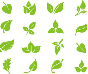 Fototapeta na wymiar Bio leaf image. Green leaves organic vegan life healthy vector simple elements for fresh emblems