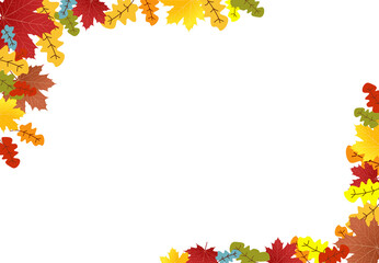 Autumn foliage PNG. on isolated transparent background. Abstract wallpaper design with maple leaves, line art. Elegant botanical in fall season ..