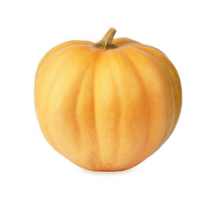 pumpkin isolated on white background. fresh vegetables