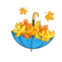 Yellow autumn leaves in a blue umbrella