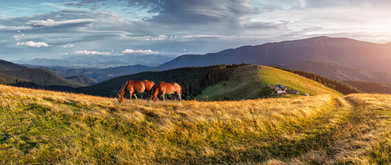 Awesome alpine highlands in sunny day. Two alone horses on mountain meadow. Summer panorama...