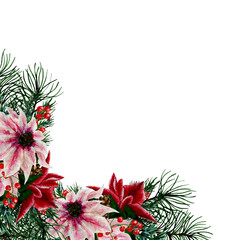 Watercolor christmas poinsettia composition, perfect to use on the web or in print