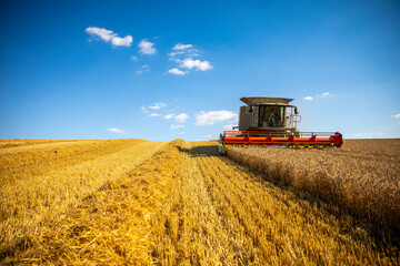 Moissonneuse récoltant le blé dans les champs en France.