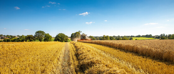 Moissonneuse dans un champ de blé pendant les moissons en France.