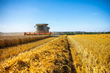 Fototapeta na wymiar Moissonneuse dans les champs de blé en été pendant les moissons en France.
