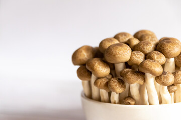 Fototapeta na wymiar Fresh shimeji mushrooms in a bowl isolated on white background with copy space.
