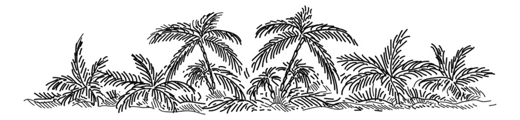 Fototapeta na wymiar Tropical landscape. Palm trees and exotic plants in hand drawn style