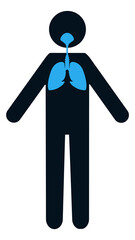 Respiratory system. Air breathing and ventilation in human body