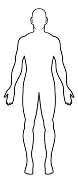 Human Body Outline Images – Browse 855,669 Stock Photos, Vectors, and Video
