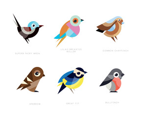 Colorful Stylized Birds Collection with Superb Fairy Wren, Lilac-breasted Roller, Common Chaffinch, Sparrow, Great Tit and Bullfinch Vector Set