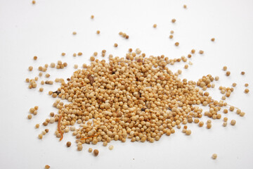 bunch of Coriander isolated on white background