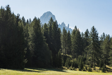 Fototapeta na wymiar Latemar mit Wiesen und Wald gesehen vom vom Perlenweg
