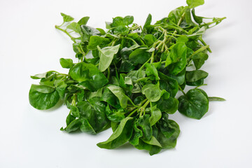 bunch of fresh spinach isolated on white background