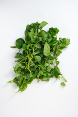 Fototapeta premium bunch of fresh spinach isolated on white background