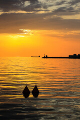 Sonnenuntergang in Triest