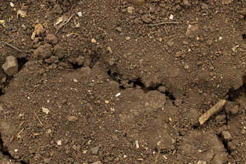 Texture of the earth with cracks from drought