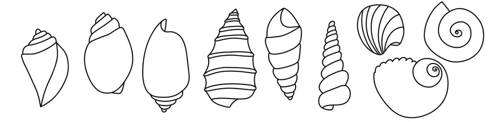 Set of line art sketch seashells. Vector illustration isolated from background. Decoration symbol of health calcium. Different shapes of shells. Sea ocean icon. Sand and beach design.
