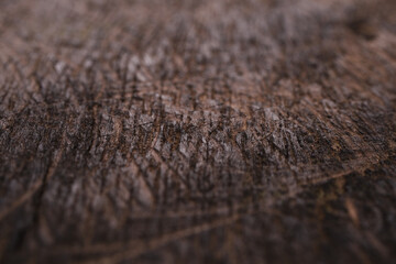 texture of teak wood