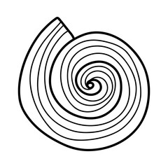 Line art sketch seashells.