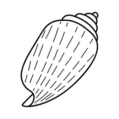 Line art sketch seashells.