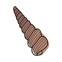Line art sketch seashells.
