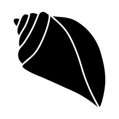 Line art sketch seashells. Vector illustration isolated from background. Decoration symbol of health calcium. Different shapes of shells. Sea ocean icon. Sand and beach design.
