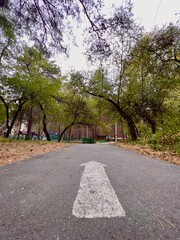 alley in the park