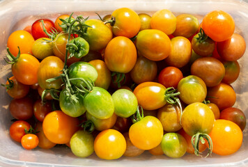 many small cherry tomatoes. raw vegetables