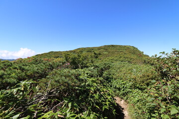 Fototapeta na wymiar 2022年9月の栃木県の茶臼岳の登山