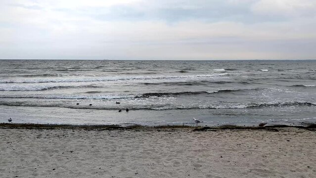 baltic sea and beach near Kellenhusen, Germany on windy day in autumn