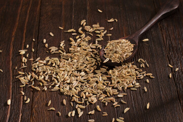 Spoon of Fennel seeds on wooden 