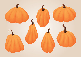 Autumn ripe pumpkin vegetables, set of vector isolated cartoon illustrations.