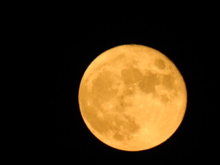 Fototapeta premium Full Moon 2022