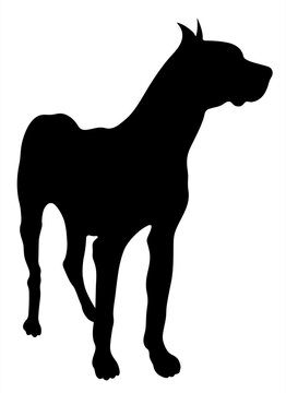 Great Dane Silhouette