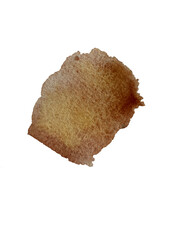 Yellow - brown splash watercolor hand painted isolated on white background, artistic decoration or background.