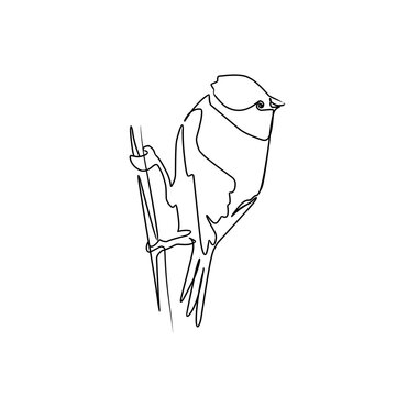 recommend clip art: Vector illustration of bird in line art style
