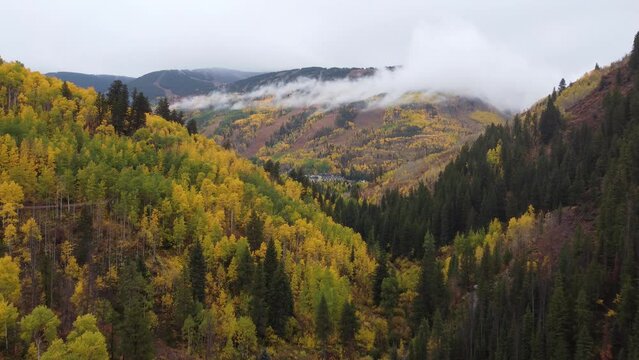mountain road in the mountains (fall color) - Vail in Colorado