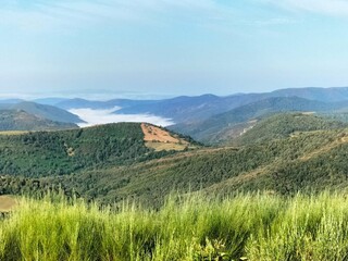 Naklejka premium Paraje de Pedrafita do Cebreiro, Galicia