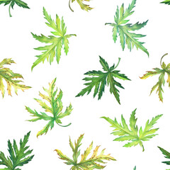 Watercolor seamless pattern with aconite leaves on transparent background