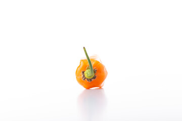 Peach Habanero Pepper Chili