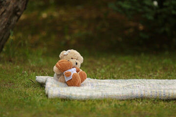 Teddy bears in the meadow