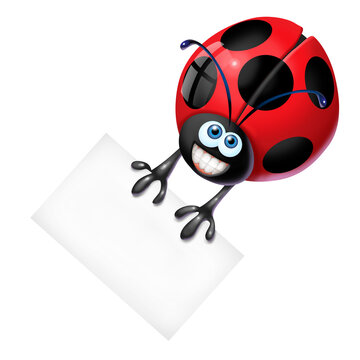 coccinella con cartello